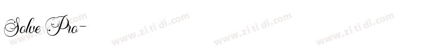 Solve Pro字体转换
